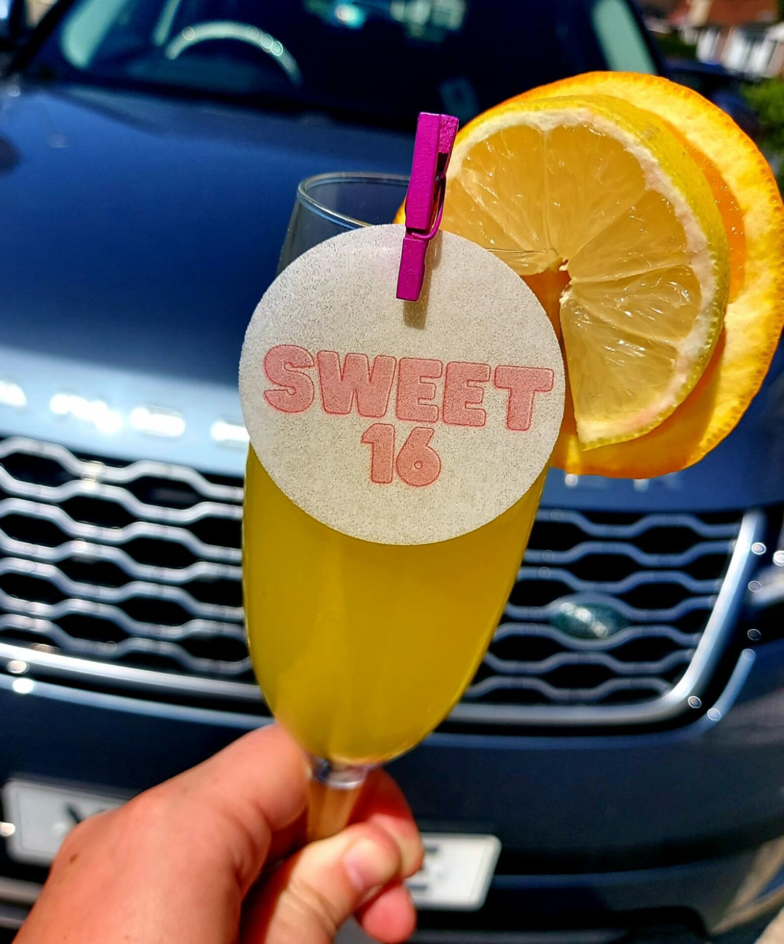 Edible Drink Cocktail Toppers Including FREE Mini Pegs Etsy