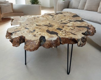Ancient Olive Root, Slice Coffe Table with Epoxy and Hairpin Metal Legs. Ready to Ship.