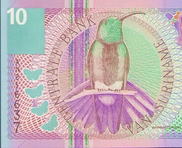 Suriname 10 Gulden, currency Banknote 2000 UNC. old Paper Money, Foreign World Banknotes -  Collection Paper Money. gifts for him.