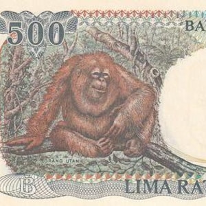 Banconota da 500 rupie indonesiane, 1992-1999 UNC. - vecchia carta moneta, collezione di banconote straniere, carta moneta. Regali per lui.