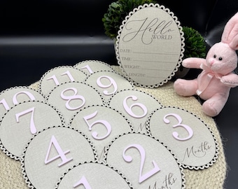 Baby Girl Milestone Photo Props | "Linen and Lace" Baby Girl Milestone Photo Props | Baby Stats Photo Prop 14 piece set | Baby Photo Props