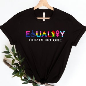 Equality Hurts No One Shirt, Equal Rights Shirt, Human Rights Shirt, Equality Shirt, Social Justice Shirt, Peace Love Shirt, Diversity Shirt