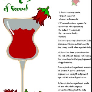 May include: A red drink in a glass with a red flower on top. The text "Benefits of Sorrel" is at the top of the image. The text below lists the health benefits of sorrel, including its use as a diuretic, its ability to reduce the risk of heart disease, and its high vitamin A content.