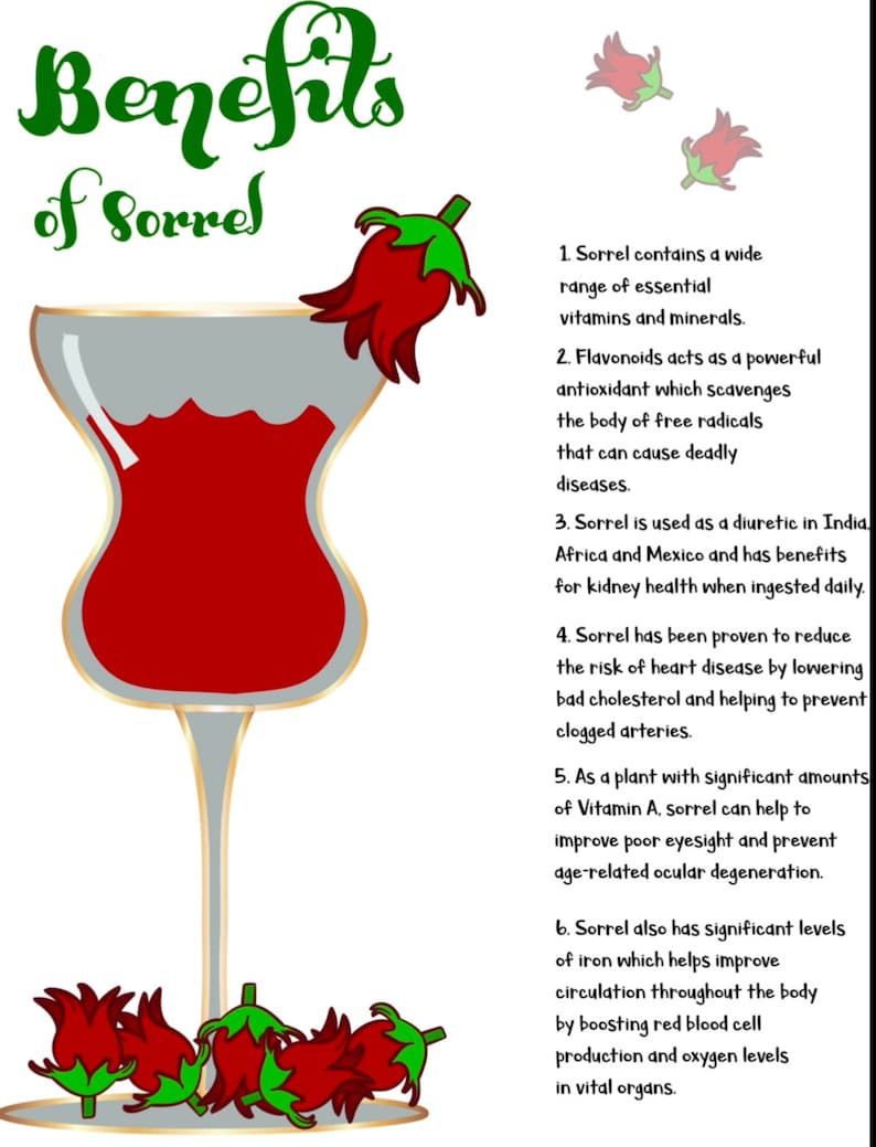 May include: A red drink in a glass with a red flower on top. The text "Benefits of Sorrel" is at the top of the image. The text below lists the health benefits of sorrel, including its use as a diuretic, its ability to reduce the risk of heart disease, and its high vitamin A content.