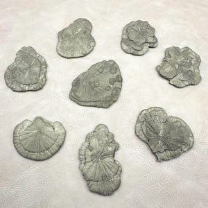 May include: Eight pyrite specimens are displayed, each with a distinct, organic form and a metallic, silver-grey hue. The specimens are arranged on a light-coloured surface, highlighting their natural textures and crystalline structures. These mineral specimens are ideal for collectors.