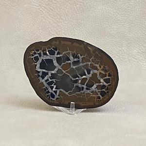 Mitad de nódulo septariano