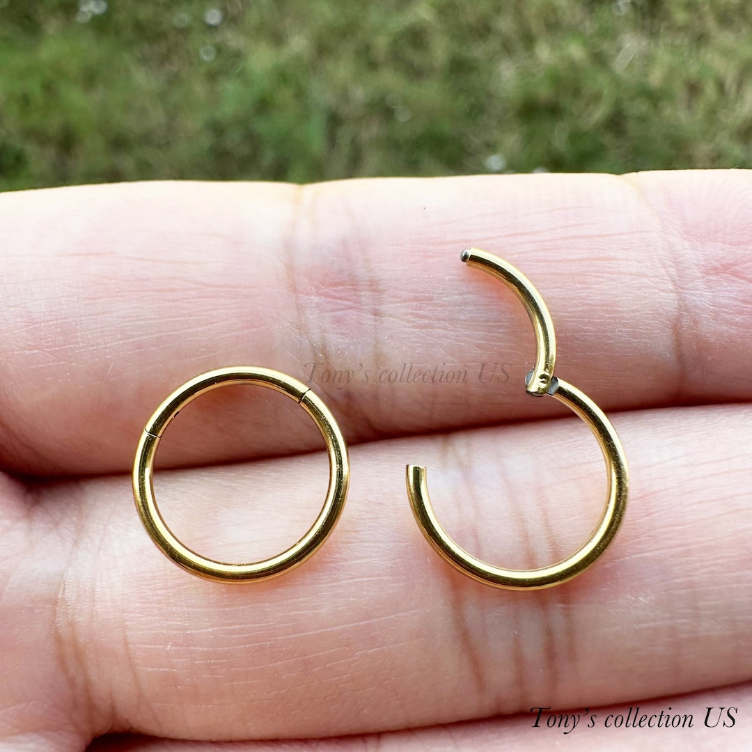 Yrogcu 20G 18G 16G 14G enkele/dubbele hoepel roestvrij-staal naadloze-scharnierpiercing segment-clicker neusring-hoepel: diameter 6 mm 8 mm 10 mm 12 mm kraakbeen oorbellen, Roestvrij staal, Zirkonia