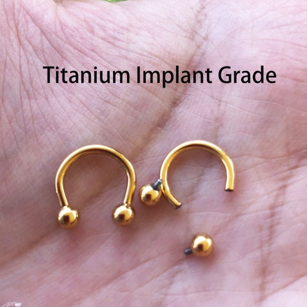 18 g 16 g 14 g Implant taraudé en titane de qualité dorée Fer à cheval circulaire avec haltères 8 mm 10 mm