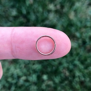 22G 20G 18G ROSE Goldfarbe auf chirurgischem Stahl Twist offene nahtlose Segment Nasenring Septum Ring Daith Hoop 6 mm 8 mm 10 mm 11 mm