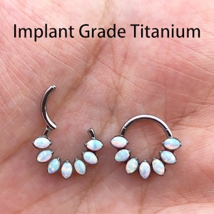 16g Fire Snow Opal Implant Grade Titanium Hinged Segment Hoop Ring Daith Helix Septum Piercing 8mm 10mm Diameter Synthetic Opal