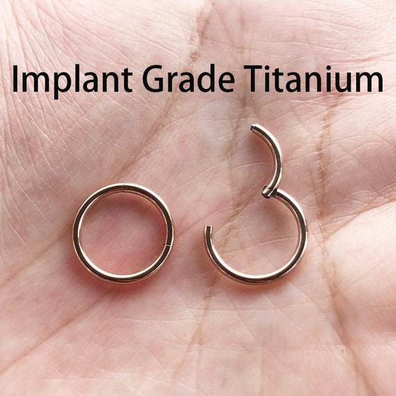 G23 Titanium Nose Ring, Segment Nose Ring, Body Piercing Jewelry, Hinged  Nose Ring, Implant Grade Septum Piercing, Clicker Nose Hoop, TS10 - Etsy  Canada | Titanium nose rings, Nose ring, Nose rings hoop