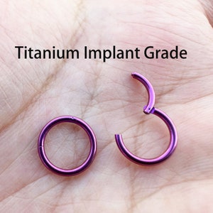 Purple Color Titanium Implant Grade HINGED Segment Nose Ring Septum Clicker Ring Daith Hoop 20G 18G 16G 14G
