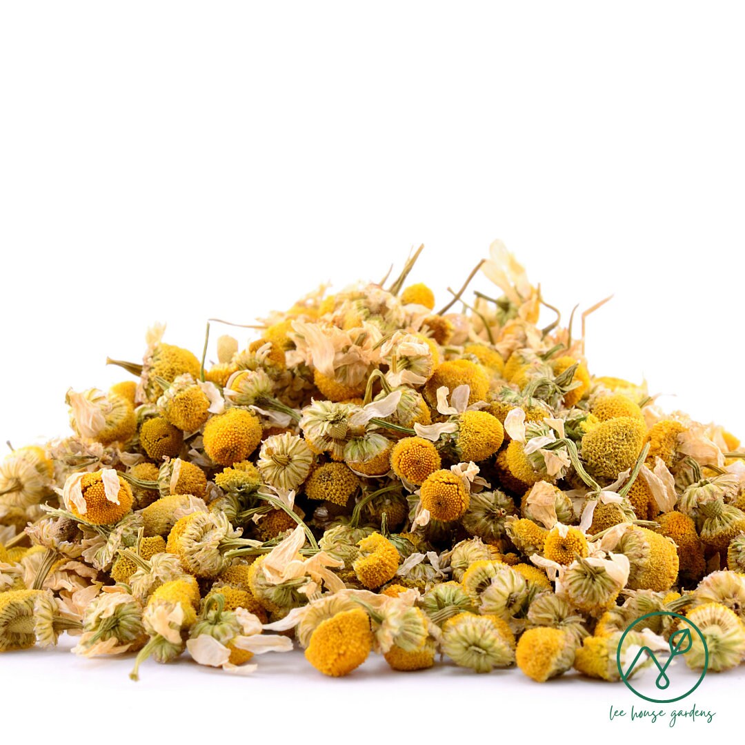 BULK Dried German Chamomile 100 Organic, Whole Flowers Etsy