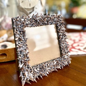 Seashell Embellished Picture Frame - Miniature Cone Shells
