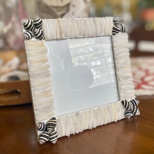 Horn Shell w/ Black & White Tiger Shell Accents