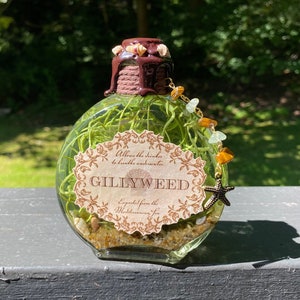 Gillyweed | Magical Apothecary Potion Bottle | Witch and Wizard Potion | Potion Ingredient | Bookshelf Decor | Botanical Bottle