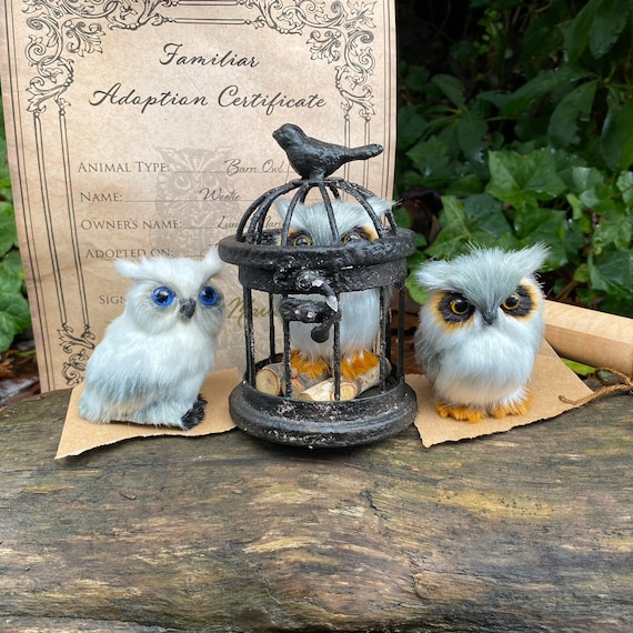 Owl Familiar Adoptions Witchy Decor Magical Apothecary Decoration Witch and  Wizard Decor Fantasy Decor Witchy Decor Bookshelf 