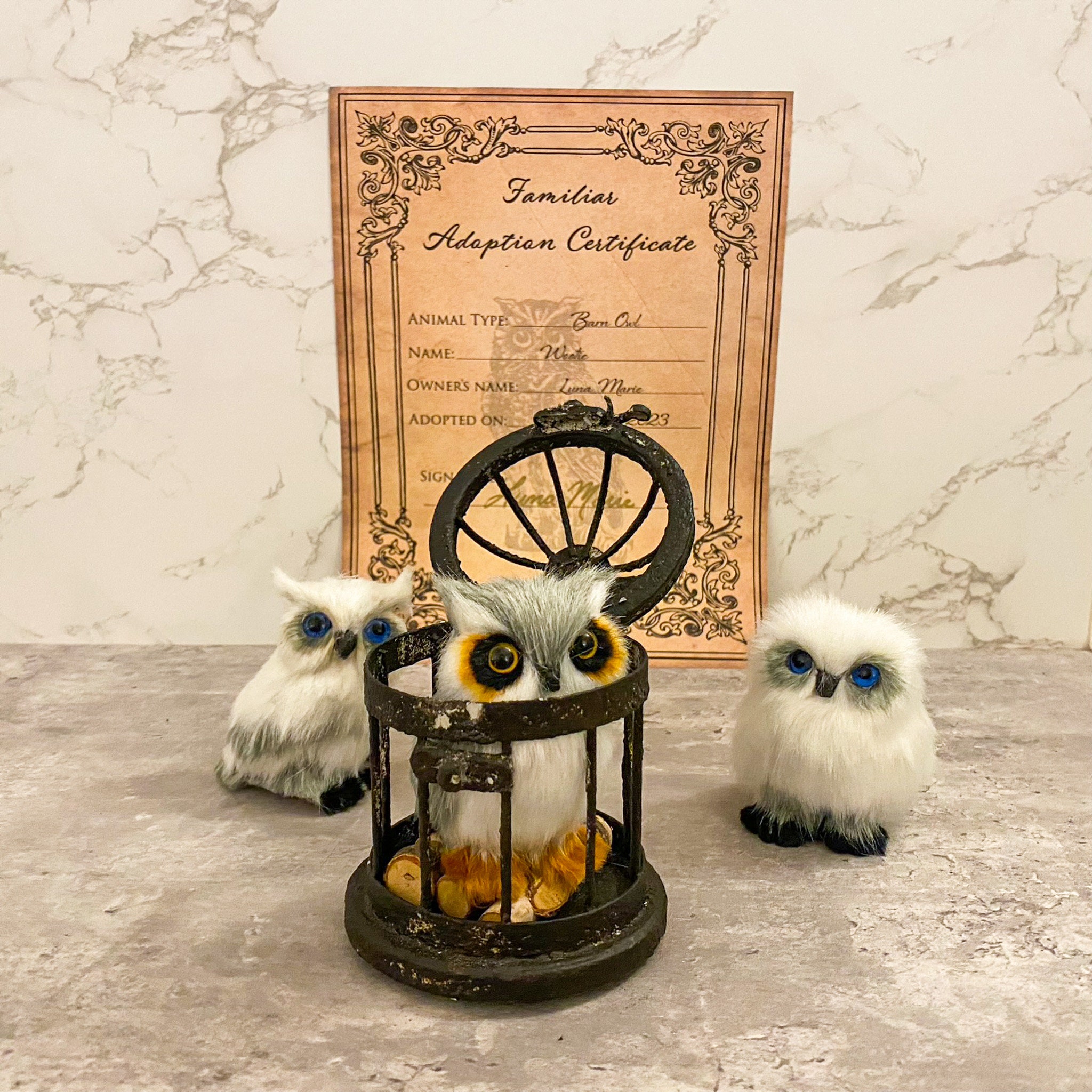 Owl Familiar Adoptions Witchy Decor Magical Apothecary Decoration Witch and  Wizard Decor Fantasy Decor Witchy Decor Bookshelf 
