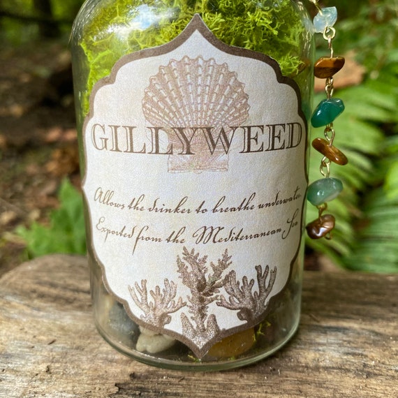 Harry Potter / Hogwarts Inspired Gillyweed Potion magical apothecary great gift a must for any witch wizards shelf .
