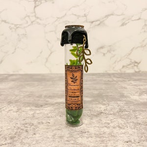 Herbology Vial | Witch and Wizard Potion | Potions Ingredient | Herbology Bookshelf Decor | Apothecary Jar