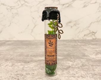 Puede incluir: Una pequeña botella de vidrio con un sello de cera negra y un amuleto de hoja de oro. La botella contiene hojas verdes y una etiqueta que dice "Venomos Vegetalis - Manipular con cuidado - Para usar en la elaboración de pociones".