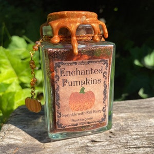 May include: A glass jar with a gold lid and a label that reads "Enchanted Pumpkins". The jar is filled with glitter and has a small pumpkin charm attached to it. The label also says "Sprinkle with Fall Fairy Dust to grow".