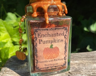 Può includere: Un barattolo di vetro con un coperchio dorato e un'etichetta che recita "Enchanted Pumpkins". Il barattolo è pieno di glitter e ha un piccolo ciondolo a forma di zucca attaccato. L'etichetta dice anche "Sprinkle with Fall Fairy Dust to grow".