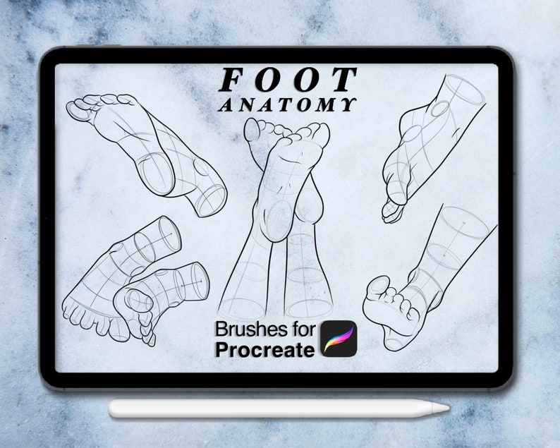 100 Foots Anatomy Procreate Brush Set Foot Stamps Save - Etsy
