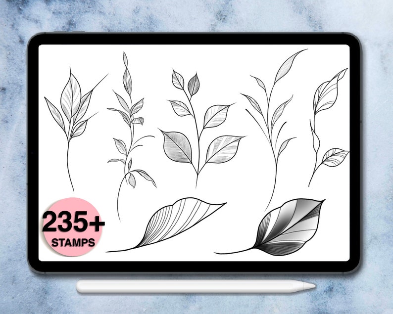 235 liści płodzi znaczki pędzle do rozmnażania liści cyfrowy pędzel kwiatowy stemple botaniczne rozmnażaj aplikację i iPada pro zdjęcie 5
