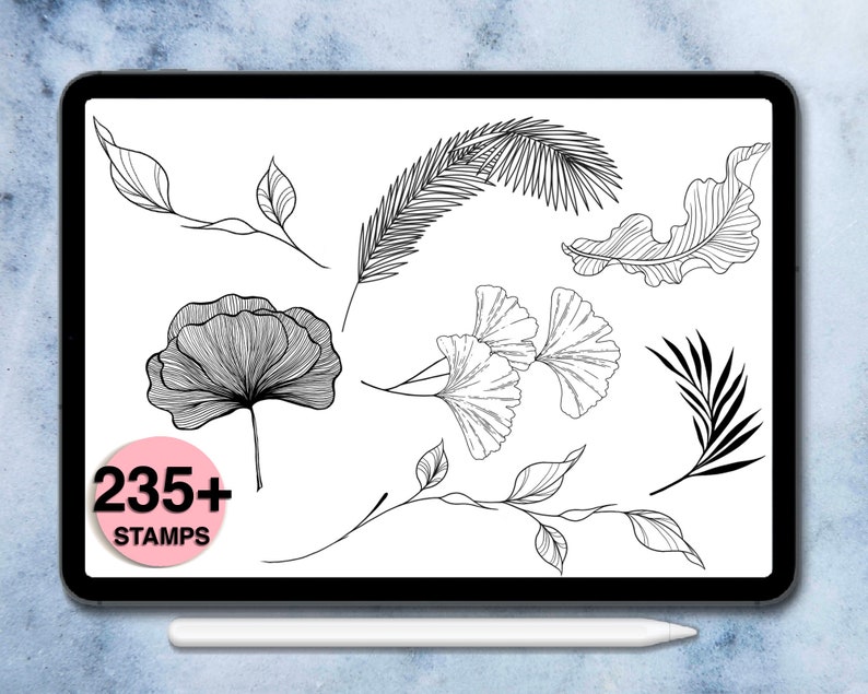 235 liści płodzi znaczki pędzle do rozmnażania liści cyfrowy pędzel kwiatowy stemple botaniczne rozmnażaj aplikację i iPada pro zdjęcie 7