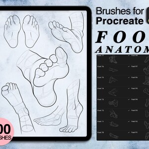 Puede incluir: Una ilustración digital de 100 pinceles de Procreate para dibujar la anatomía del pie. La imagen muestra varias poses y ángulos del pie, incluyendo el tobillo, el talón y los dedos del pie. El texto "Foot Anatomy" se muestra en letras grandes y negritas en la parte superior de la imagen.