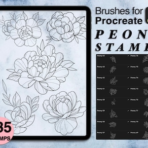135 procreate peony stamps | procreate brushes | floral tattoo style | Save your time and explore now