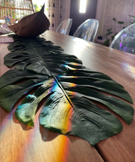 marmorata monstera Monstera deliciosa var. borsigiana 'Marmorata Aurea'