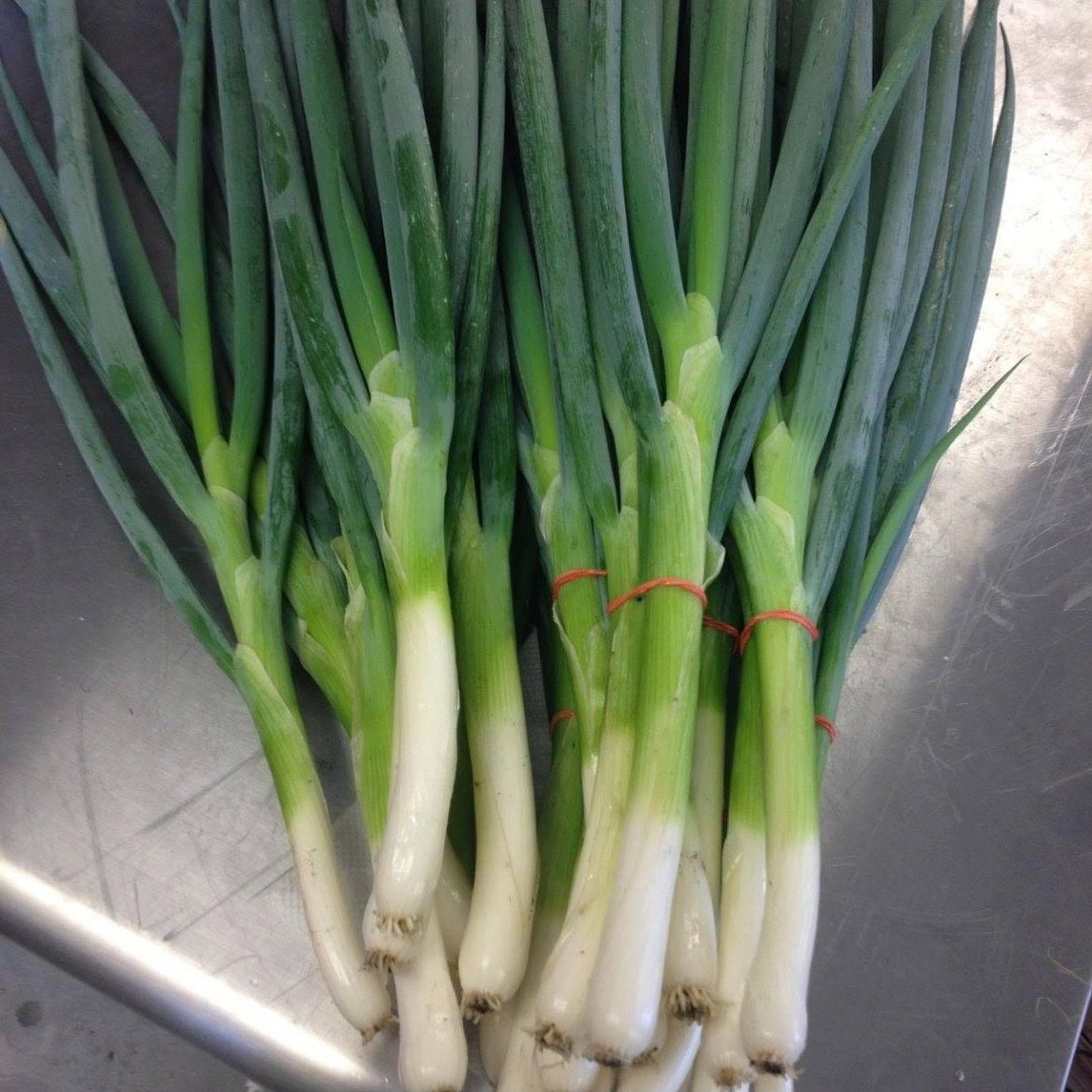Parade Bunching Green Onions, Organic - Etsy