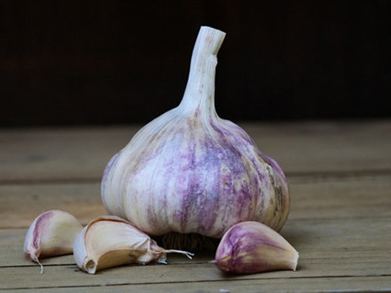 Nootka rose garlic