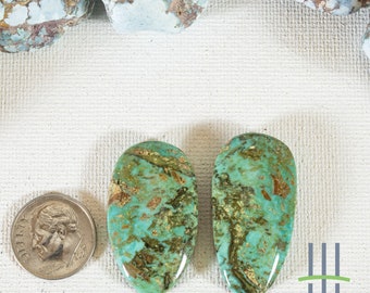 Royston Turquoise Cabochon Pair