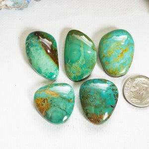 May include: Five polished turquoise gemstones in various shapes, displaying a range of teal and brown hues. The stones are smooth and glossy, with natural veining patterns. A dime is included for size reference.