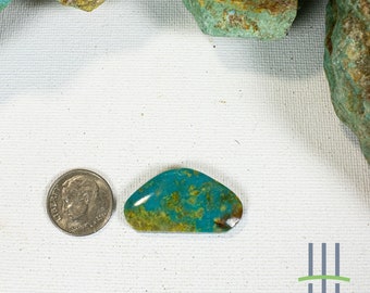 May include: A turquoise cabochon with a green and brown matrix. The cabochon is about the size of a US dime.