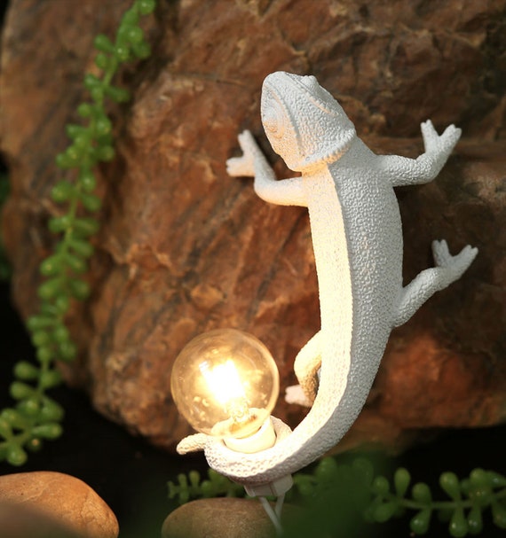 Lizard lamp top