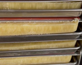 Raw Bovine Colostrum Powder
