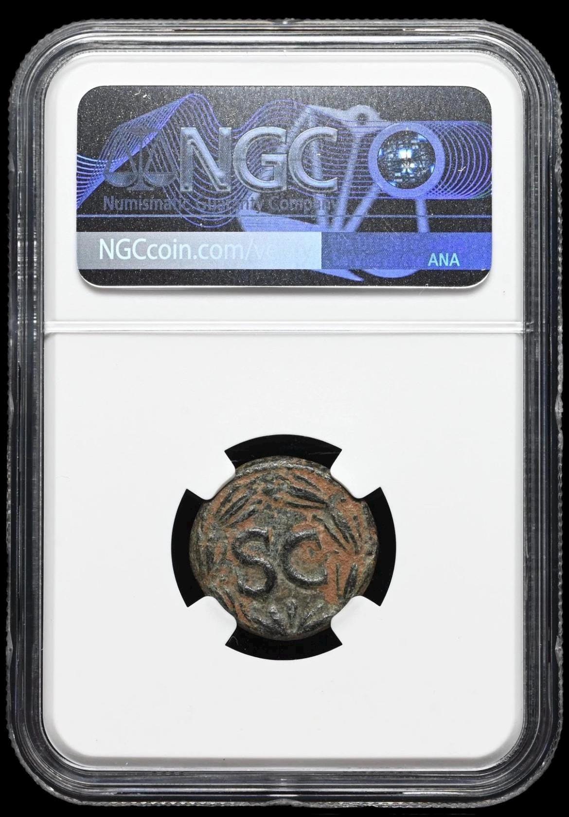 テトラドラクマ！ MS鑑定】 NGC 5/5 3/5 古代ローマ シリア