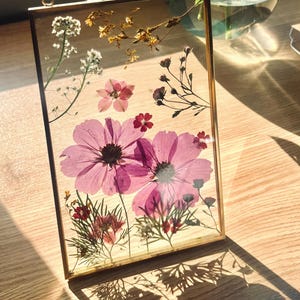 DIY pressed flower art kit: Make your own botanical art, hosting decor dried flower art in floating frame, plant wall hanging