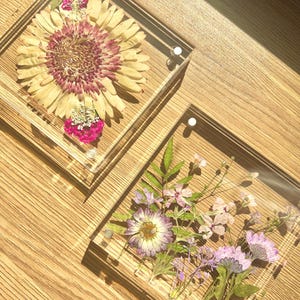 May include: Two clear acrylic coasters with pressed flowers. One coaster features a large yellow and maroon gerbera daisy and pink flowers. The other coaster has a collection of purple and pink flowers and green leaves.