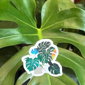 Monstera plant sticker, holographic material