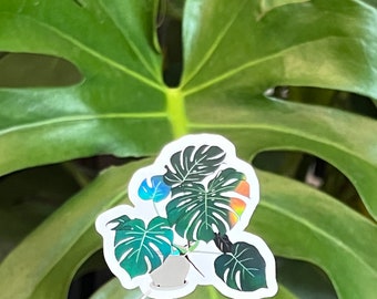 Monstera Pflanzen Aufkleber, holografisches Material