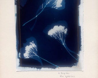 Original Cyanotype Print, with Stitching: On Being Seen 2025