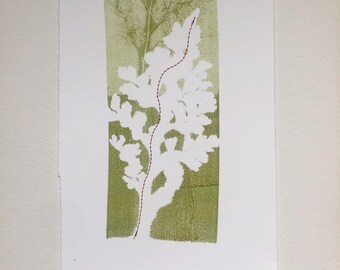 Monotype: River Way 2025