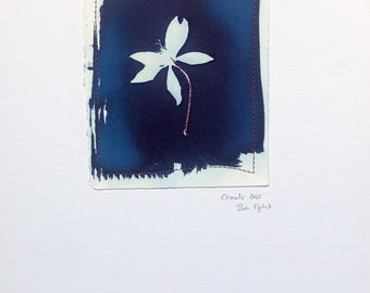 Original Cyanotype Print, with Stitching: Clematis 2025