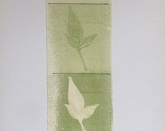 Monotype: Eternity 2025