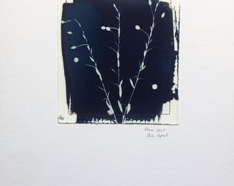 Original Cyanotype Print, with Stitching: Flax 2025